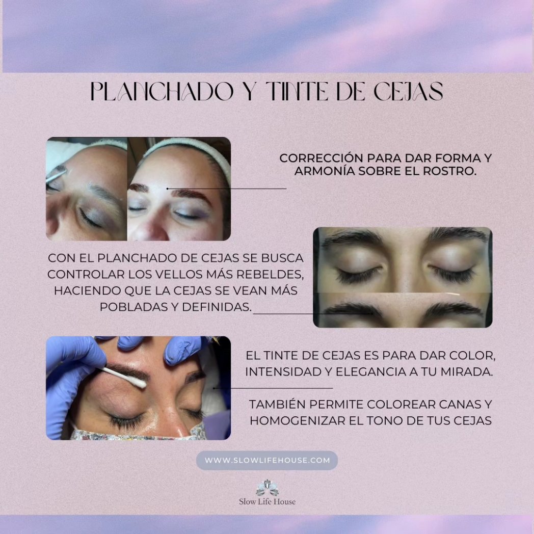 Slow Life House tweet media