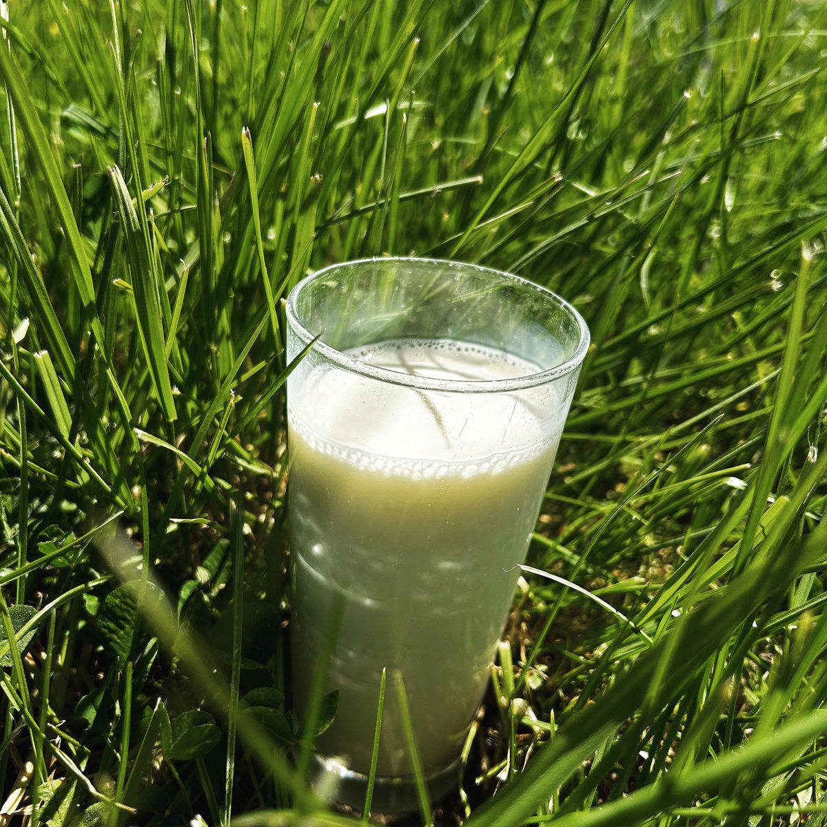 🥛World Milk Day 🥛

Did you know?

1️⃣ Irish dairy is based on a grass-based production system, giving it one of the lowest carbon footprints internationally.

1/2
#macrapresident #irishdairy #worldmilkday