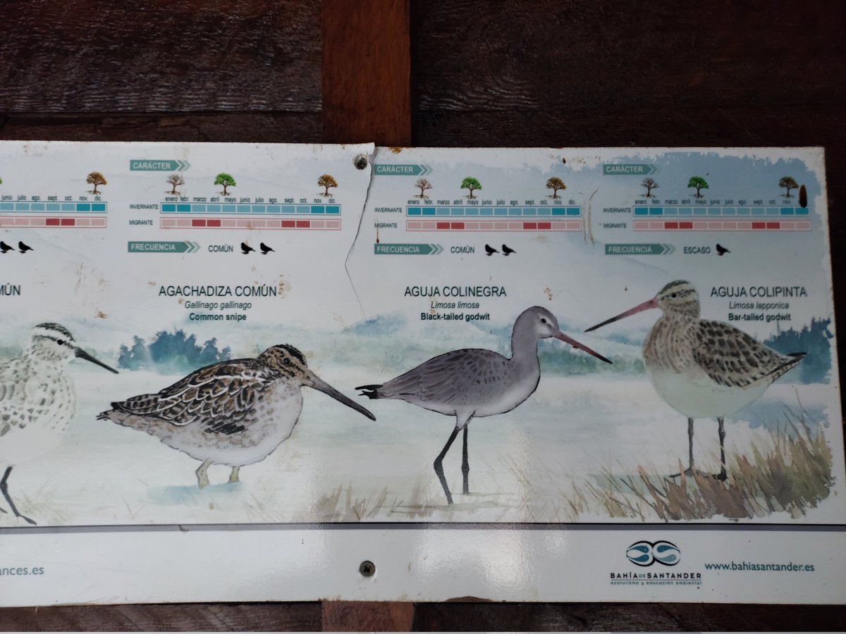 Animalistas Euskadi tweet media