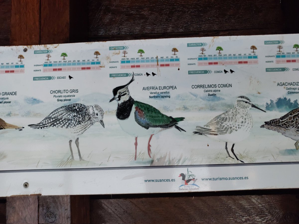 Animalistas Euskadi tweet media