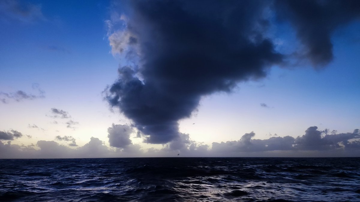 JinqiangGuo's tweet photo. This was my first time participating in a cruise in the Pacific Ocean. What a great experience to cross the Equatorial Pacific with many impressive students and scientists! Hope to get some interesting findings regarding the Biological Carbon Pump.โบ๏ธ#GEOTRACES #SO298 https://t.co/OBtdK6Bo3E