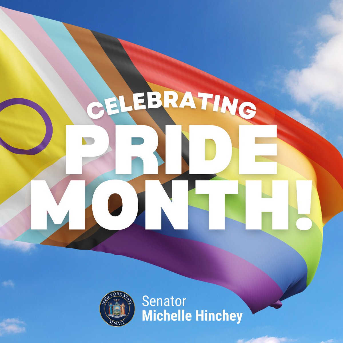 SenatorHinchey's tweet photo. During Pride Month, we honor the resilience of our LGBTQIA+ family. Even in our moments of celebration, we're reminded that the fight for equality is ongoing, &amp; we remain steadfast in our commitment to ensure that everyone can live with dignity &amp; respect as their truest selves. https://t.co/MfKPVinSml