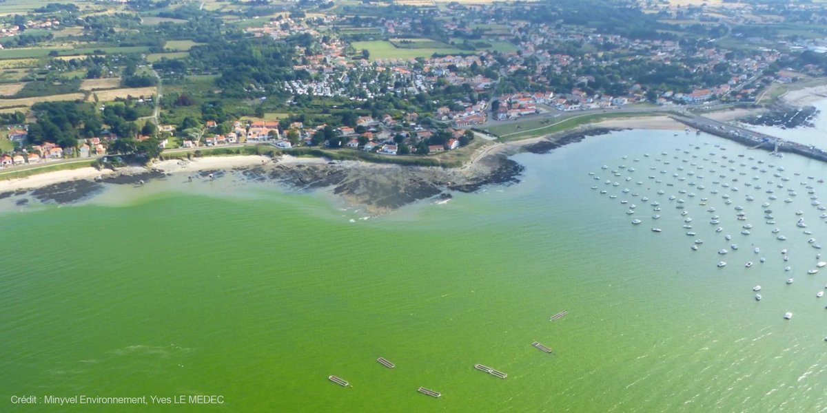 L'eau de mer est 🟤, 🟠, 🟢 ?

Prenez une 📸 et faites avancer la science grâce à l'app #Phenomer de l’#Ifremer ! 🤳

👉 Infos : phenomer.org