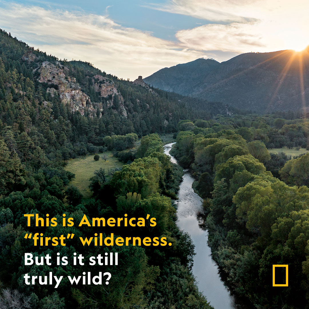 Western New Mexico is home to the Gila Wilderness—a maze of forested canyons that in 1924 became the world’s first legally protected wilderness area. It remains one of the country’s most spectacular landscapes 
 on.natgeo.com/42jpLyi