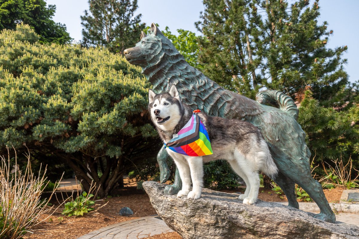 Join us and @JonathanHusky14 this month – and every month – in celebrating our LGBTQIA+ Huskies 🌈