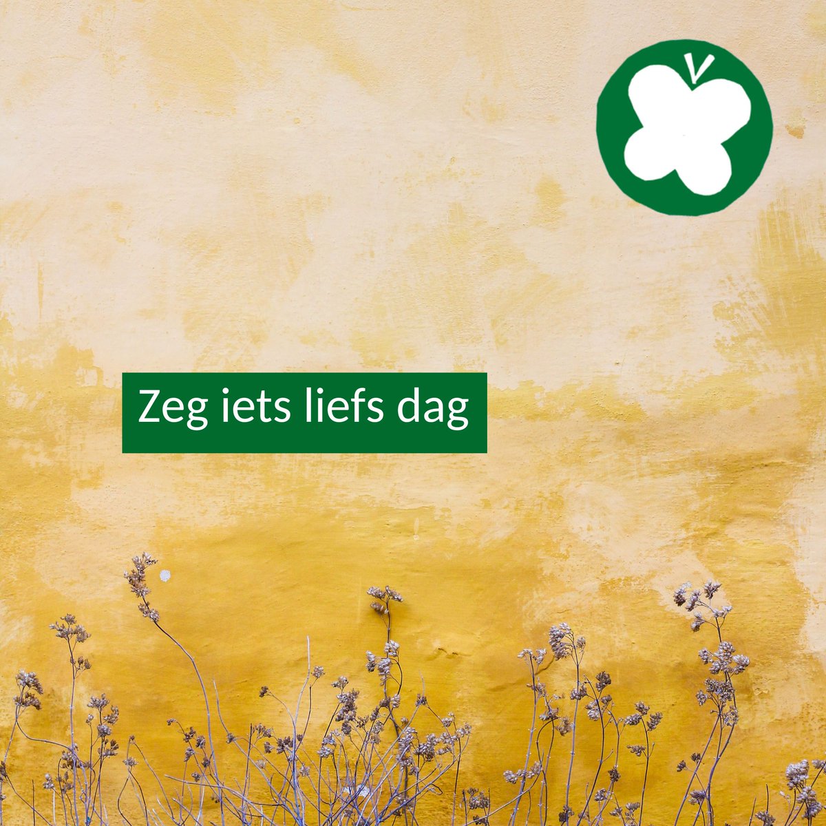 Vandaag is het ‘Zeg iets liefs dag.’ Een mooi moment voor het volgende:

Lieve volgers, DANKJEWEL! 💚
#PvdD #ZegIetsLiefs