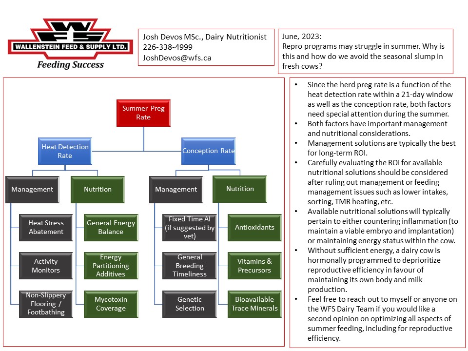 The hidden challenge on dairies amidst summer busyness is often the repro program. As we are dealing with a blast of pre-summer heat, what exactly is happening in the body of the cow, and what are our best ROI tools to respond? See below! #precisiondairy #ontdairy #dairynutrition