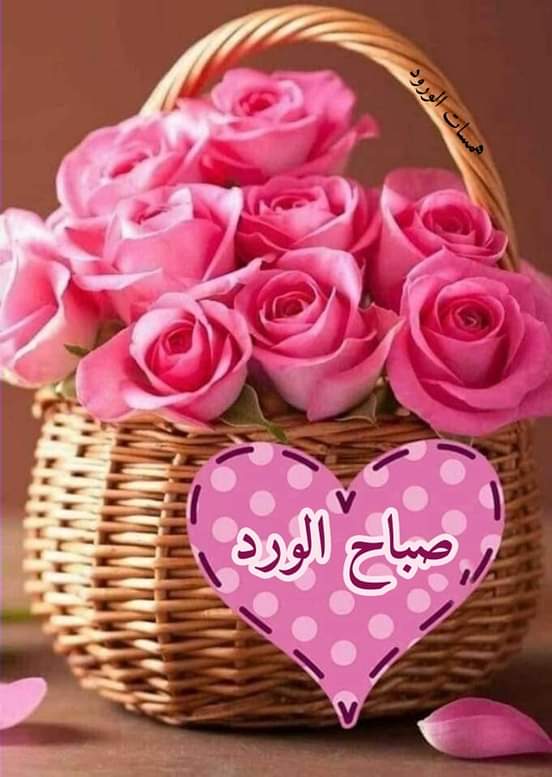 RafaiRahim's tweet photo. @li9797nour صباح الورد والياسمين https://t.co/YQcDWCbeYX