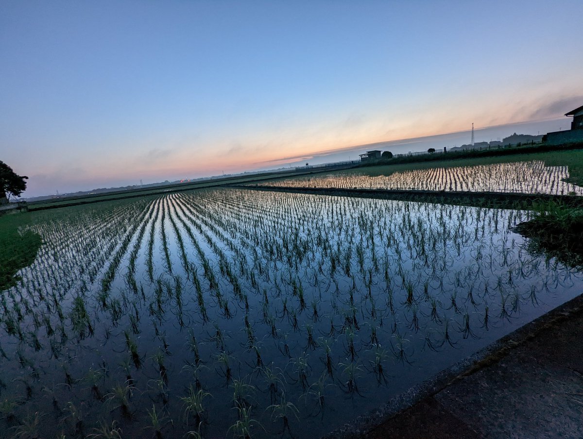 このド田舎...やっぱ地元は落ち着くなぁ
明日からまた頑張ろう

#田舎　#写真　
#写真好きな人と繋がりたい