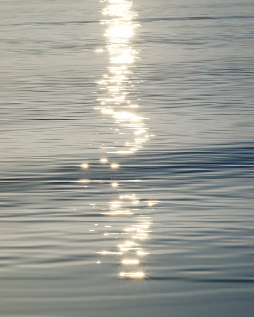 Ezequiel Pini (Six N. Five) tweet media