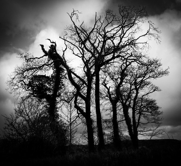 Le'anne Lory 🧜🏻♀️ (@lallyanne) on Twitter photo I’ve just ordered my ticket for the <a href="/HauntedLscapes/">Haunted Landscapes</a> conference at <a href="/FalmouthUni/">Falmouth University</a> in July and I can’t wait! #PhD #phdlife #AmStudying #AmWriting I’ve just ordered my ticket for the <a href="/HauntedLscapes/">Haunted Landscapes</a> conference at <a href="/FalmouthUni/">Falmouth University</a> in July and I can’t wait! #PhD #phdlife #AmStudying #AmWriting