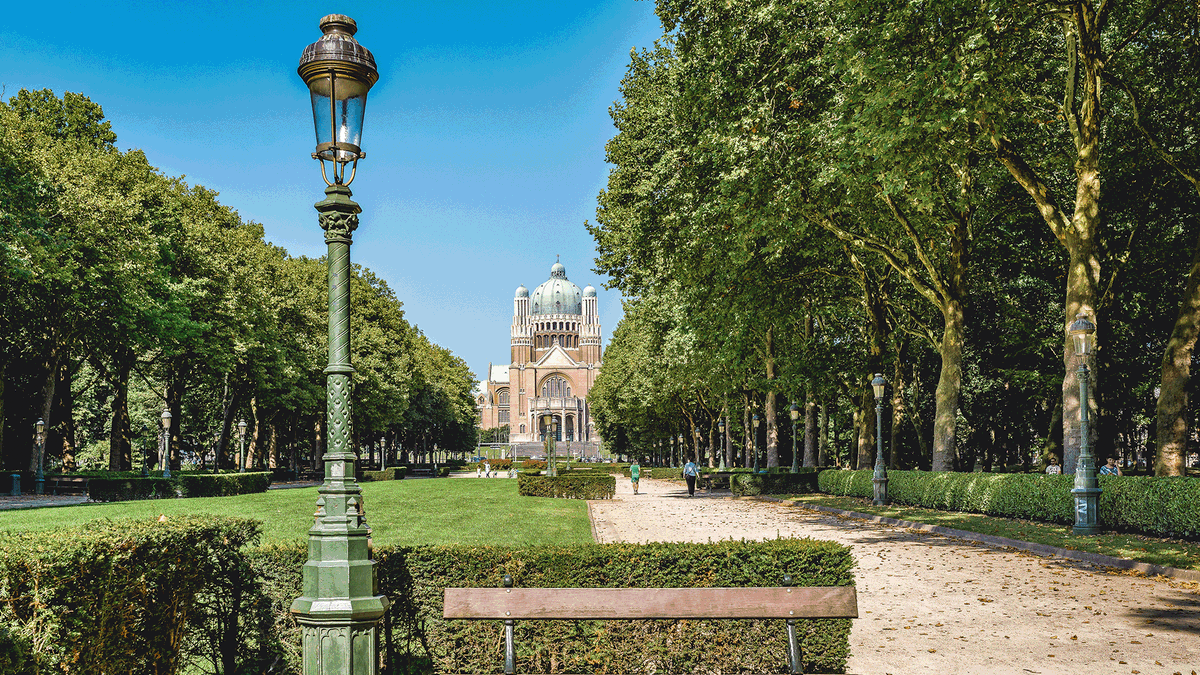 Hop on a bike and discover the rich history, stunning architecture and lively atmosphere of Brussels! 🚲🙌 #BCC23 #FLCS 

@visitbrussels