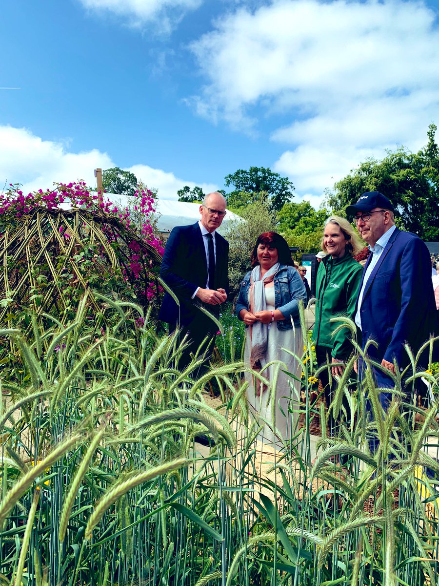 @PresidentIRL and Minister @simoncoveney visit award winning @GOAL_Global Garden at @BordBiaBloom 🌻🥇 celebrating global solidarity and the diverse yet interconnected nature of our world 🌍 @GOALNextGen @tundelandscapes @Irish_Aid