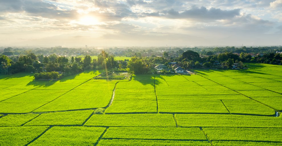 TSP Solicitors tweet media