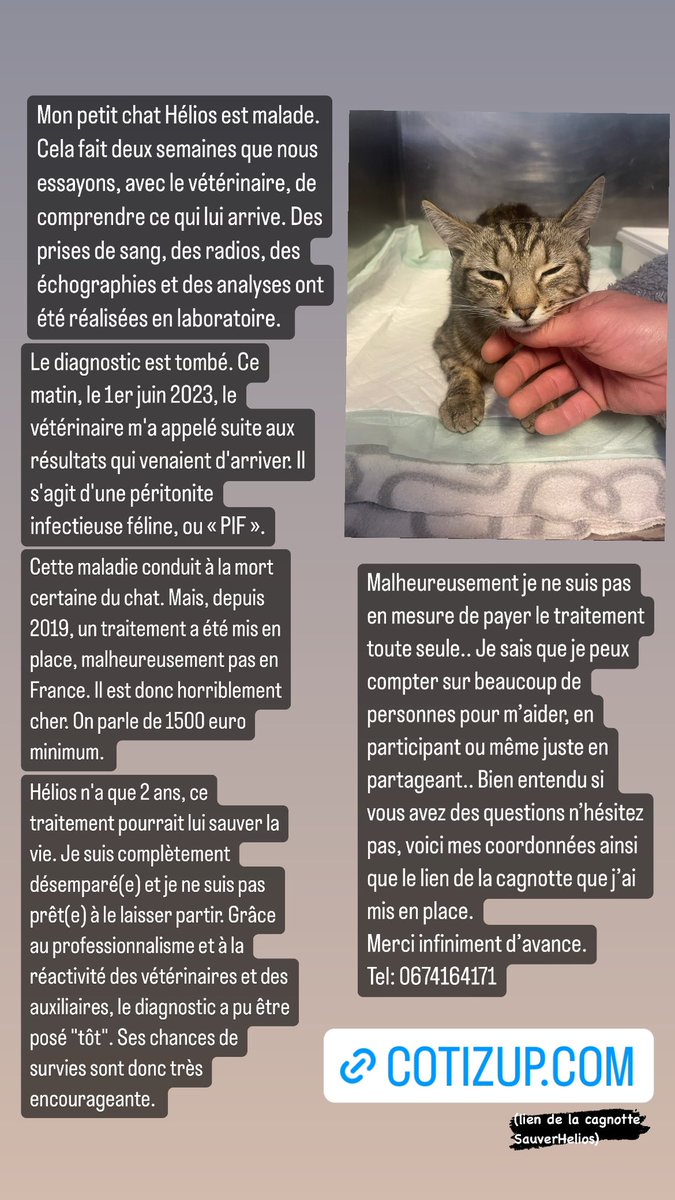 J’ai besoin de toute votre attention et de votre aide svp 🙏🏼🙏🏼🙏🏼🙏🏼
Voici le lien: cotizup.com/sauverhelios

#PIF #péritoniteinfectieusefeline #sauverhelios
#chatmalade #cagnottechatmalade
#help
#cat #maladie