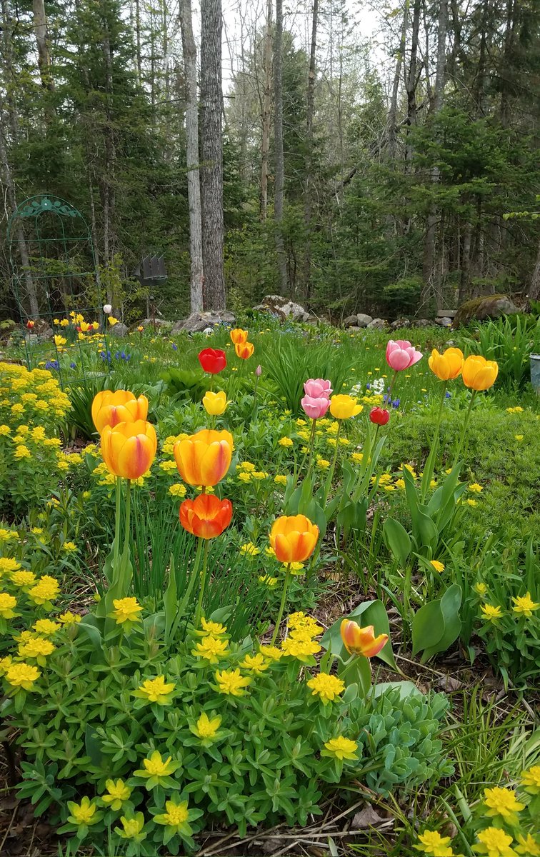 gradingsig's tweet photo. So much color! 😍 https://t.co/O0vAOga0aE