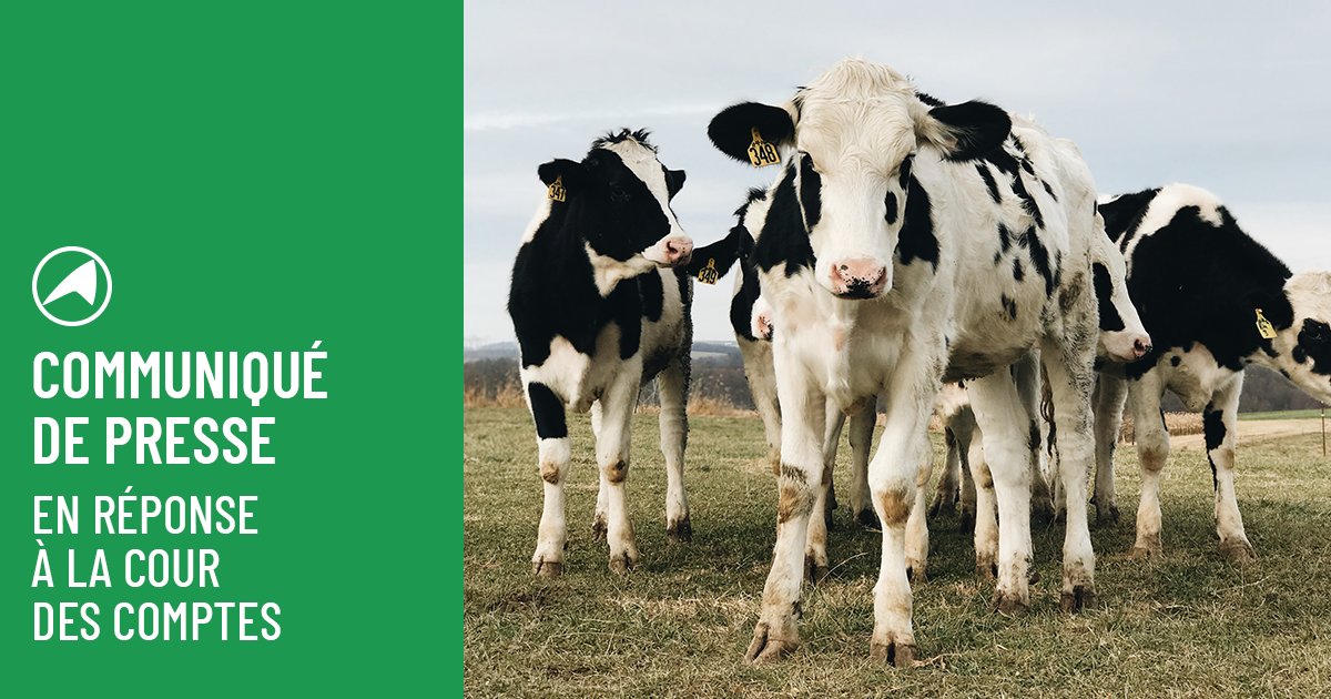 𝗥𝗲́𝗽𝗼𝗻𝘀𝗲 𝗱𝗲𝘀 <a href="/cra_grandest/">CRA Grand Est</a> 𝗮𝘂 𝗿𝗮𝗽𝗽𝗼𝗿𝘁 𝗱𝗲 𝗹𝗮 <a href="/Courdescomptes/">Cour des comptes</a> 𝘀𝘂𝗿 𝗹'𝗲́𝗹𝗲𝘃𝗮𝗴𝗲 𝗳𝗿𝗮𝗻𝗰̧𝗮𝗶𝘀 🐮🧑‍🌾
👉 cutt.ly/CwwrZPEb
❌ Nos élus déplorent les recommandations du dernier rapport de la Cour des comptes concernant l’#élevage