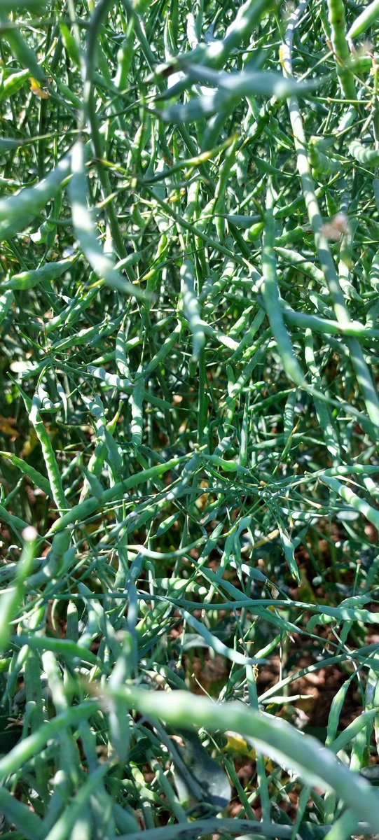 👌 on s'y perdrait parfois 😉 nouveauté #LGARMADA