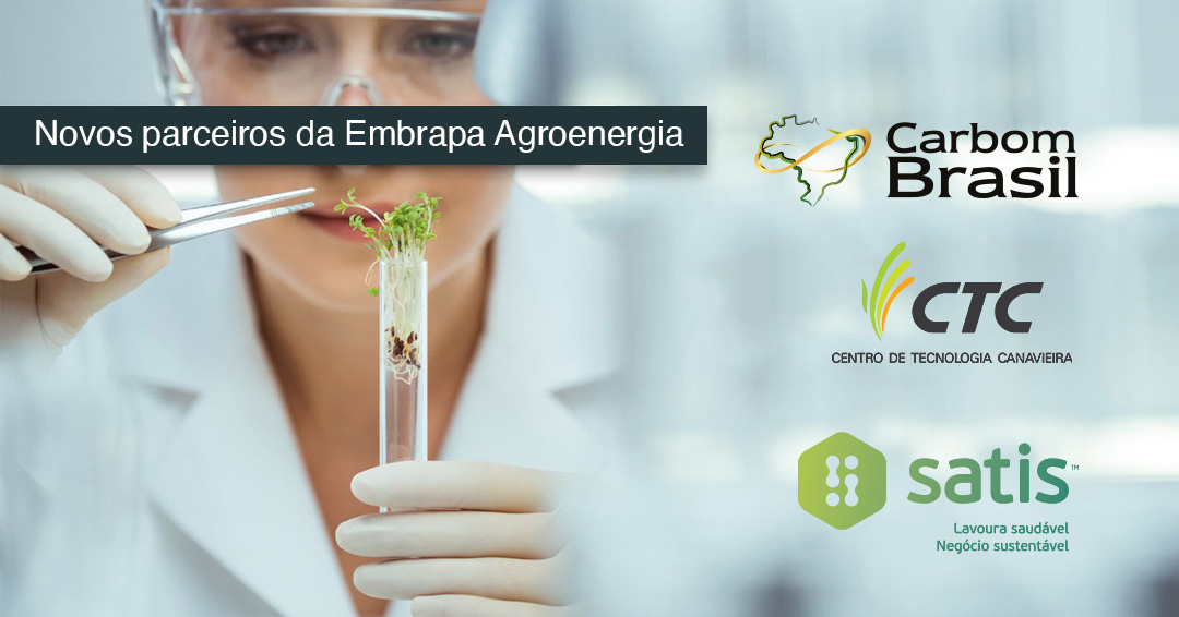 @EmbrapaAgroenergia tweet media