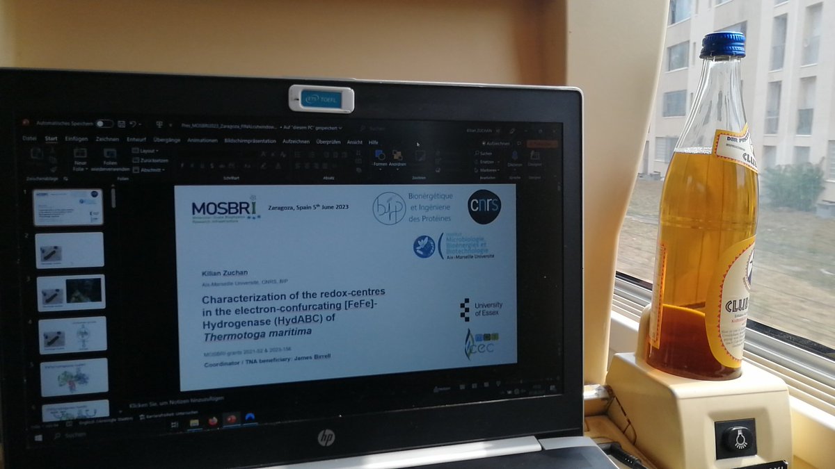 On the way to the #MOSBRI conference to present the results of our two CW-#EPR MOSBRI grants on HydABC (with @JamesBirrell86) and some complementary work from the @mpicec_press Hyped for getting some Spanish back, learning about new techniques and Spanish tapas with @giuliapesce7