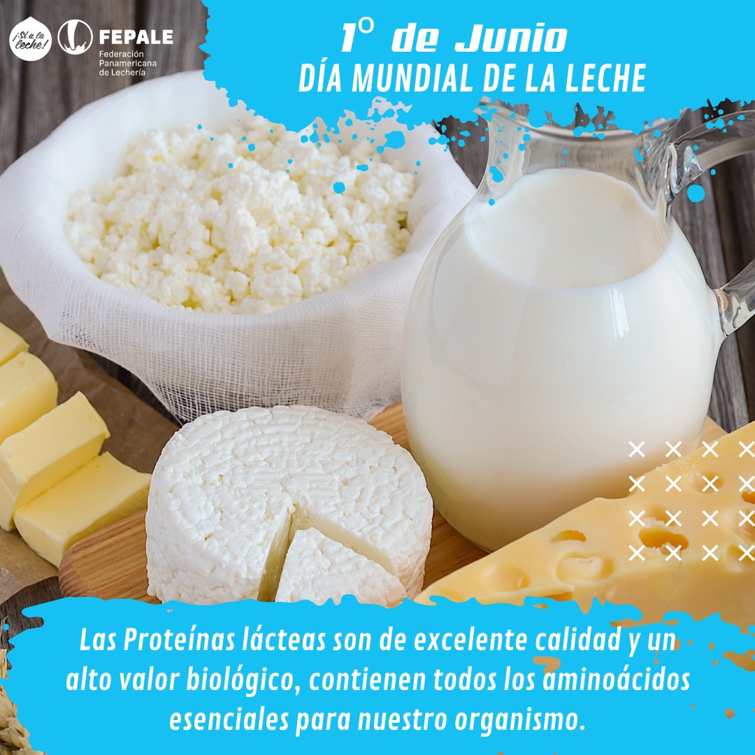 C.I.L. ARGENTINA (@cil_argentina) on Twitter photo 