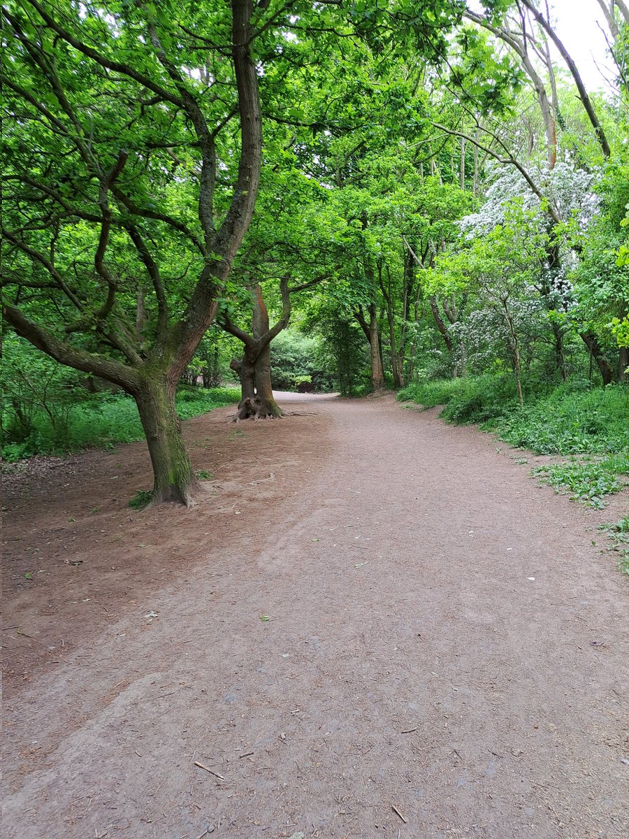 Into the woods 🌳🌳

#woods #trees #plesseywoodscountrypark #walkinthewoods #walk #peaceful #freshair #nature #forest #naturephotography #photography #outdoors #wood #hiking #tree #naturelovers #landscape #green #adventure #love #woodland #explore #wildlife #beautiful