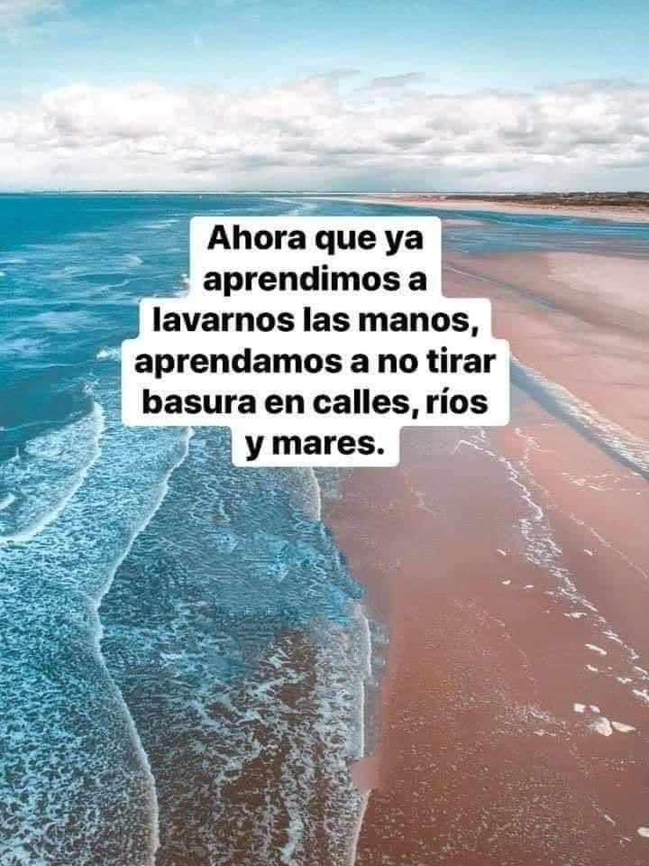 La vida post pandemia y ¿Qué aprendimos? #cuidaelplaneta #Medioambiente #recicla