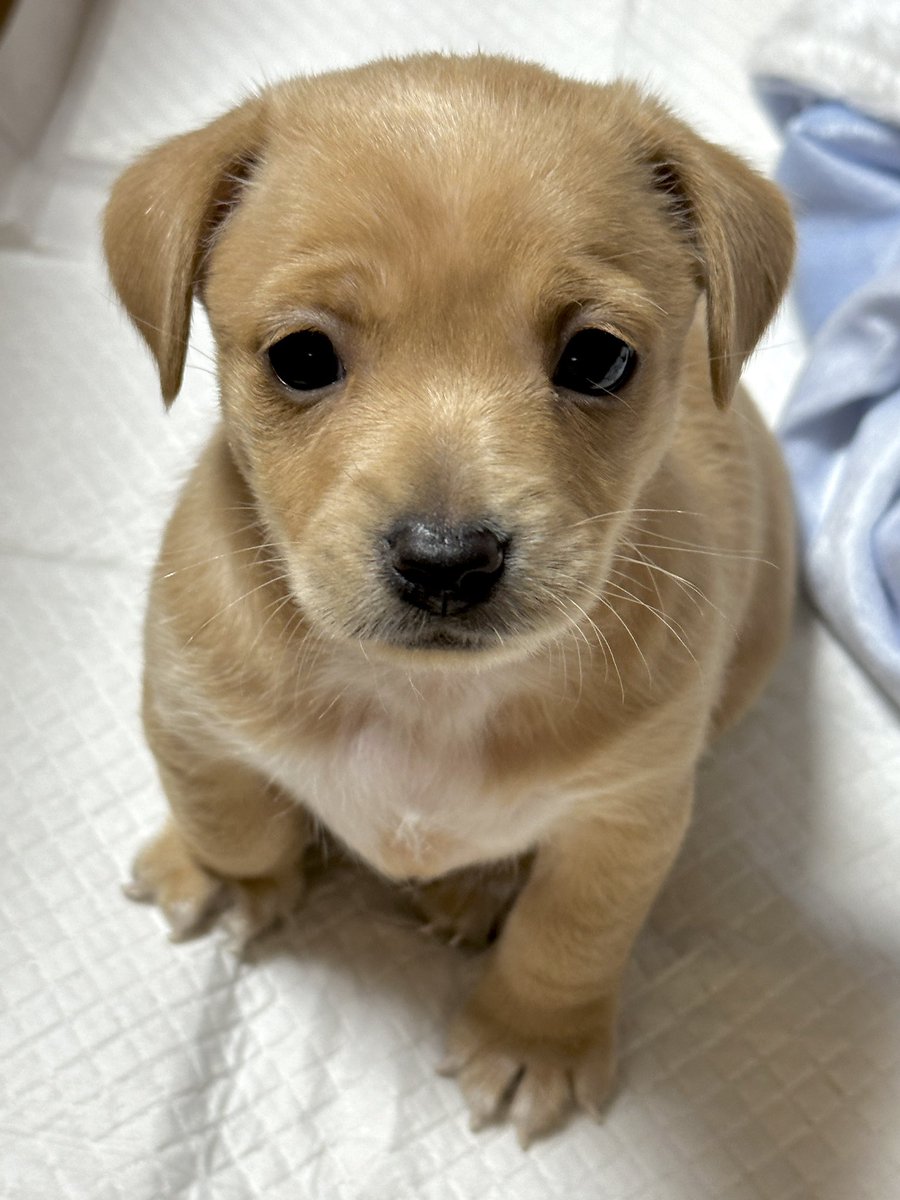 어머니, 저 학교 다녀오겠습니다.