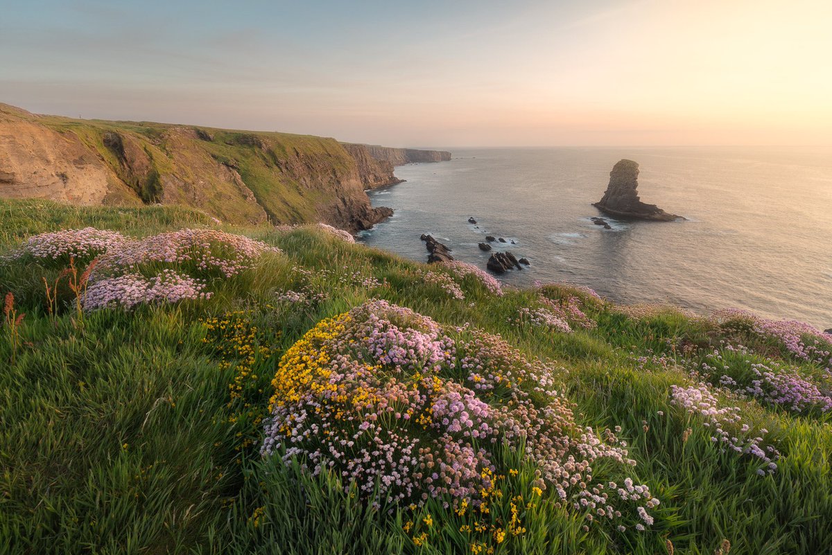 Wildflowers and a sea stack help during the tough times.