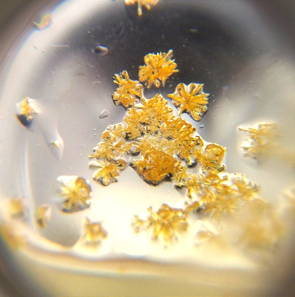 das1veira's tweet photo. Crystals of the day.@CCQMLab, @ufscaroficial https://t.co/NAEv4Ha2qy