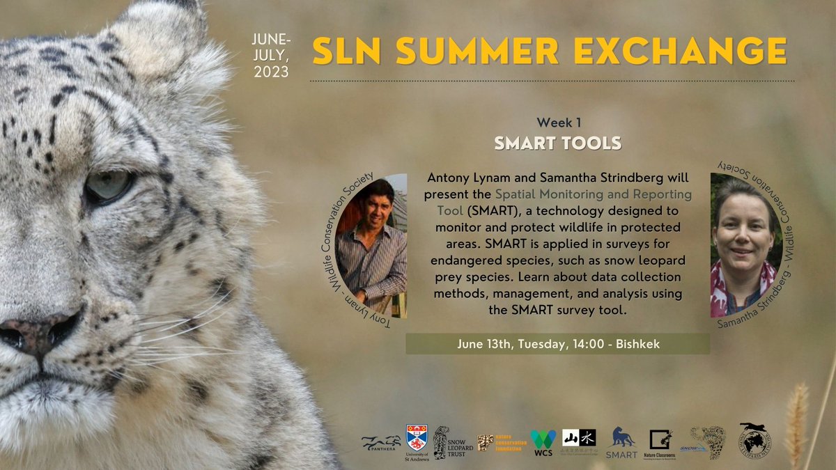 Snow Leopard Network tweet media