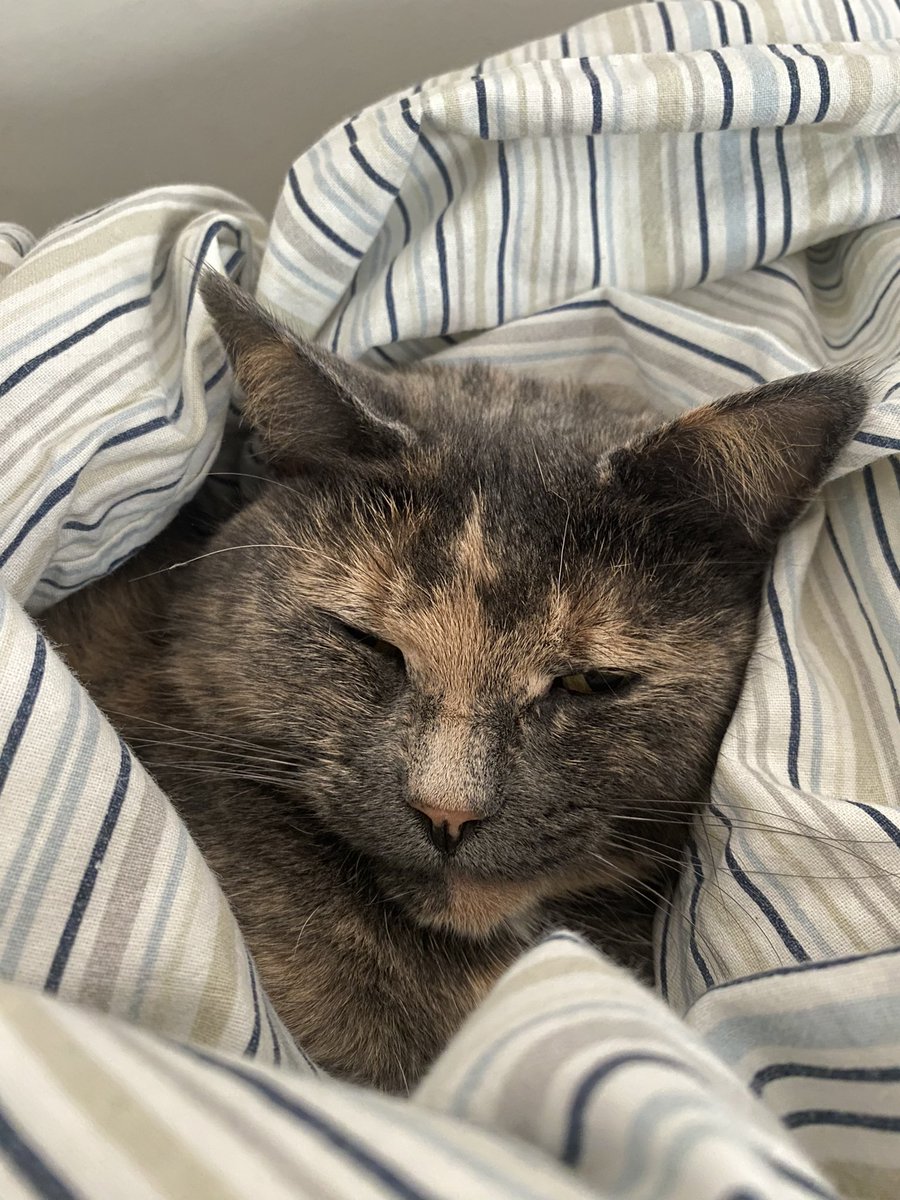 julia (@jiwoocaffe) on Twitter photo 