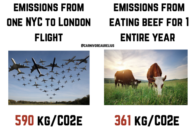 AlpacaAurelius's tweet photo. 1 transatlantic flight emits 75% more carbon than beef eaten for AN ENTIRE YEAR

If you've taken one flight, don't talk to me about my beef consumption. https://t.co/errYoqwRYr