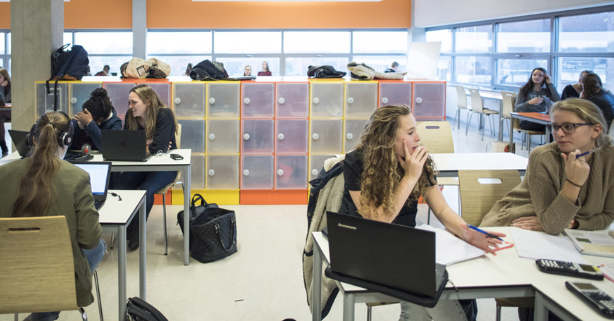 VOcontent's tweet image. Vind je het leuk om digitaal leermateriaal te ontwikkelen? Lees dan verder: vo-content.nl/nieuws/2023/au…
#leermateriaal #docent #onderwijs @StudioVO