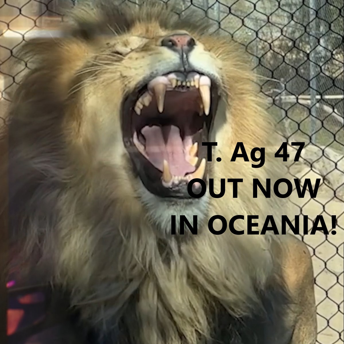 a_myren's tweet image. 🥳💫🥂🍾My new single T. Ag 47 is out now in Oceania✨li.sten.to/amyren
#NewMusicAlert #NewMusic #Australia #Oceania
#newmusicfriday #spotify #techno