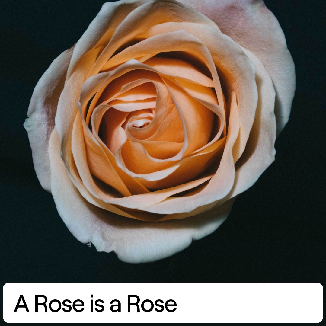 OG.Art 🔔 Heterosis Breeding is live!🌺 on Twitter "🌹 A Rose Is A