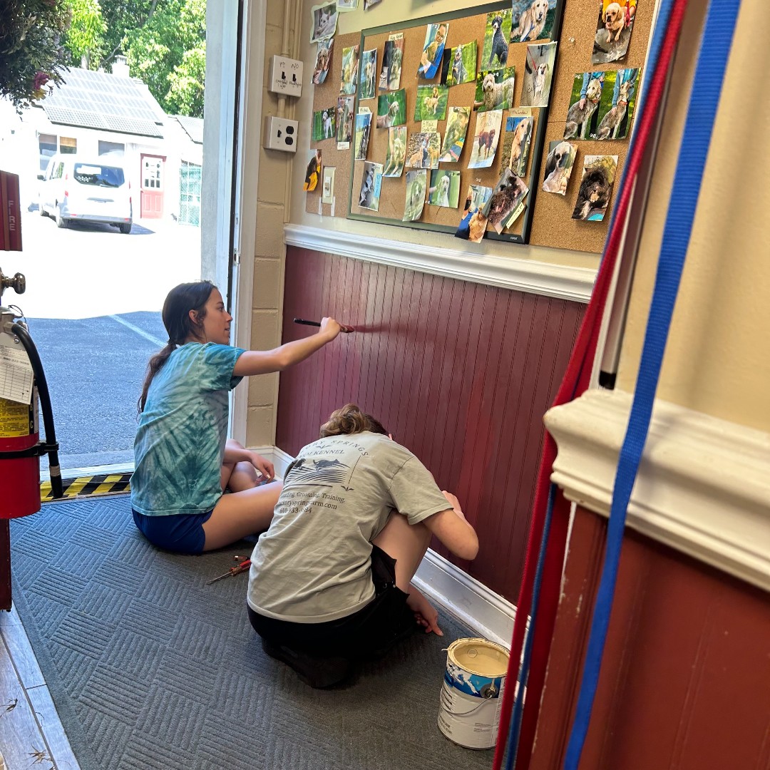 Are you ready for the summer🎶

We're getting there!

Clare & Karissa working
on summer touch-ups!👩🏻‍🎨👩🏻‍🎨

#familyowned #wetpaint #receptionarea #hsfpets #summer #petresort #chescopa #bringyourpettothecountry #mustlovedogs #petboarding #doggydaycare #dogtraining #petgrooming