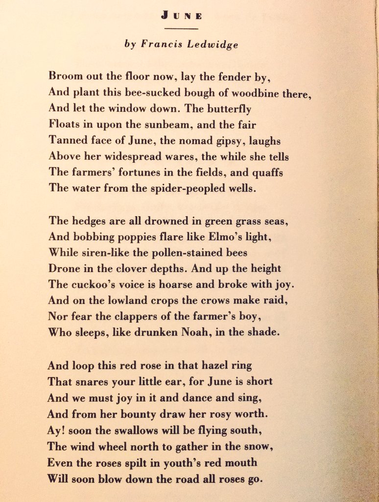 Poem of the Day ☀️