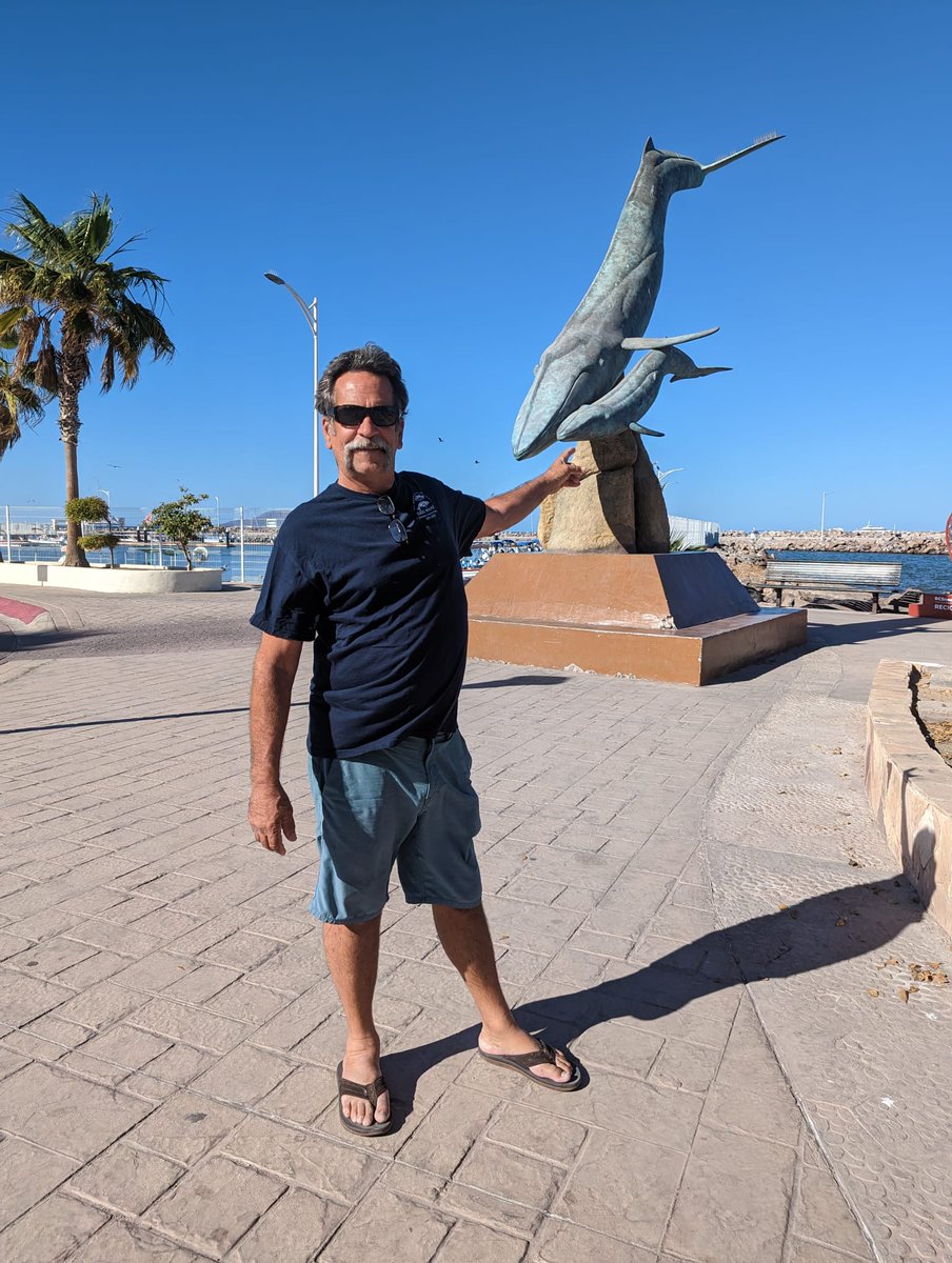 yswgcaptaindave's tweet image. Ok a real challenge this time... Where am I?

📸: @yoursaltwaterguide62 

#fishingaddict #fishingknowledge #fishingislife #sportfishing #fishingdaily #fishingphoto #fishingphotodaily #fishingpicoftheday #fishingtime