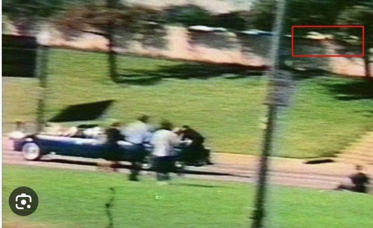 Roger Stone tweet media