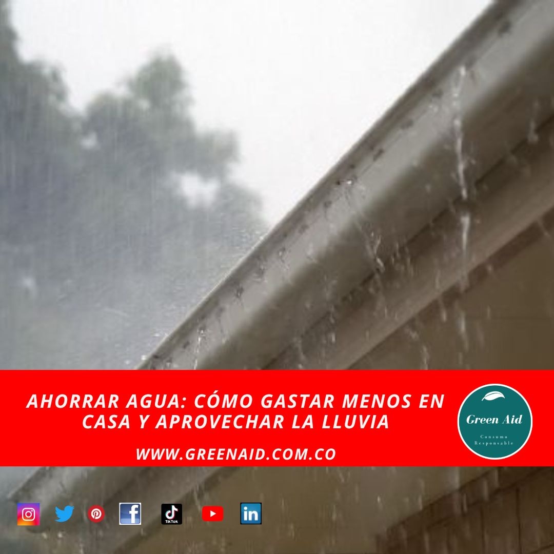 El artículo completo en nuestro Blog

greenaid.com.co. 
 Juntos podemos ayudar  #CuidaElPlaneta #NoMasPlastico #DesechablesCompostables #Usacompostables #dejatuhuella #greenaid @franciscoactivista