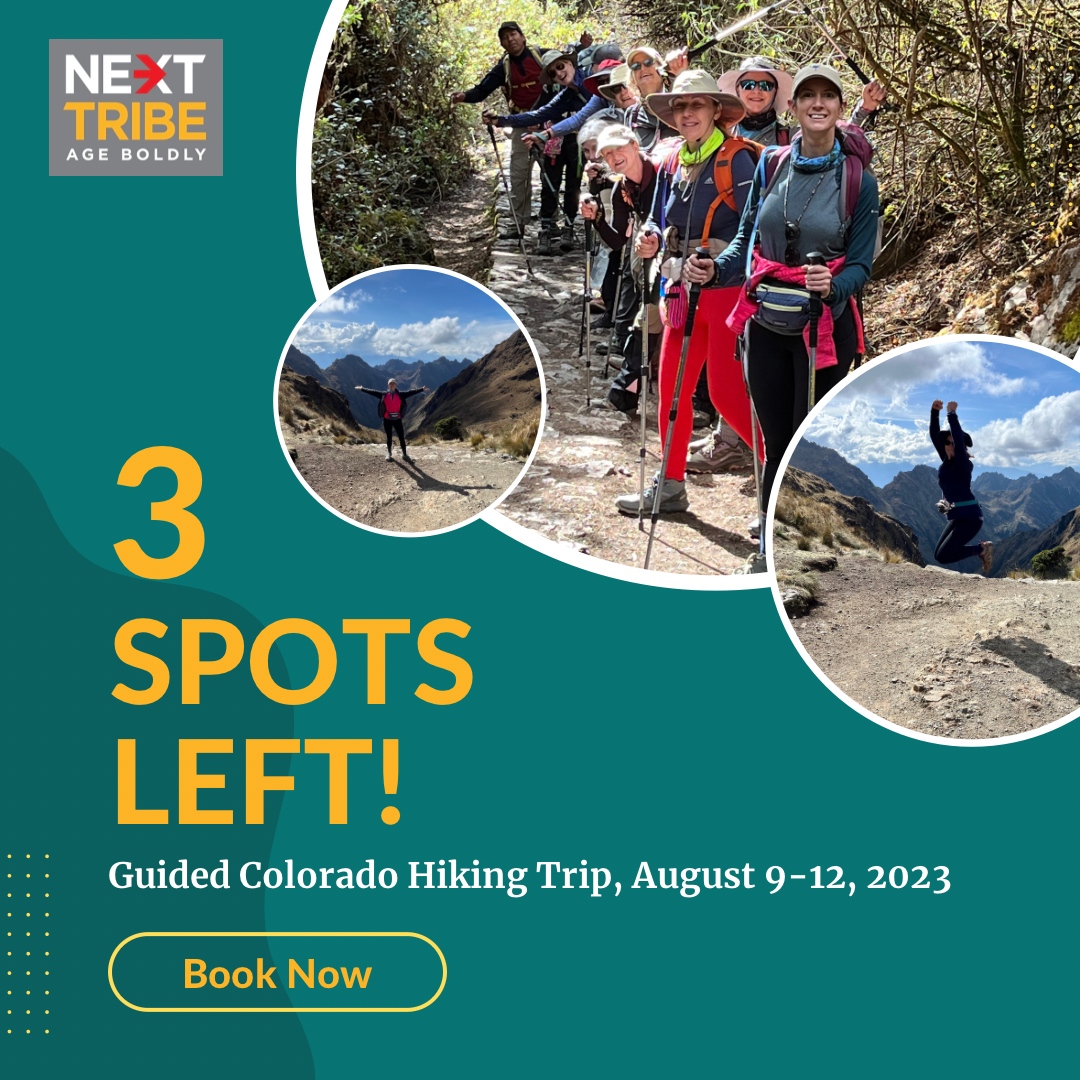 Next Tribe tweet media