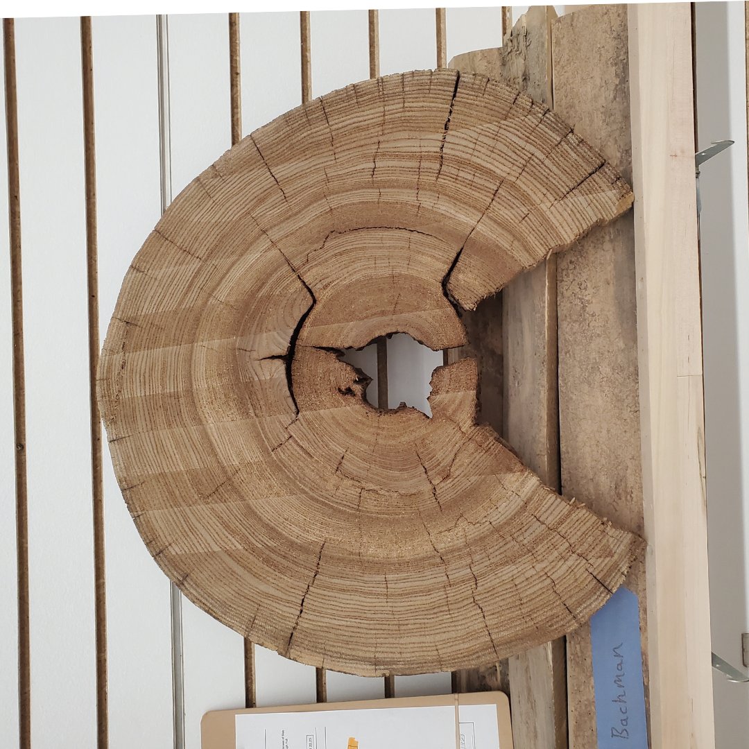 TheLumberShack1's tweet photo. One tree cookie that left the shop may just remind us of Pacman! How cool would some epoxy dots be?
::
https://t.co/qAvEOoGBa9
::
#woodworking #wood #epoxy #epoxyproject #diy #liveedge #treeslice https://t.co/HodxelWevP