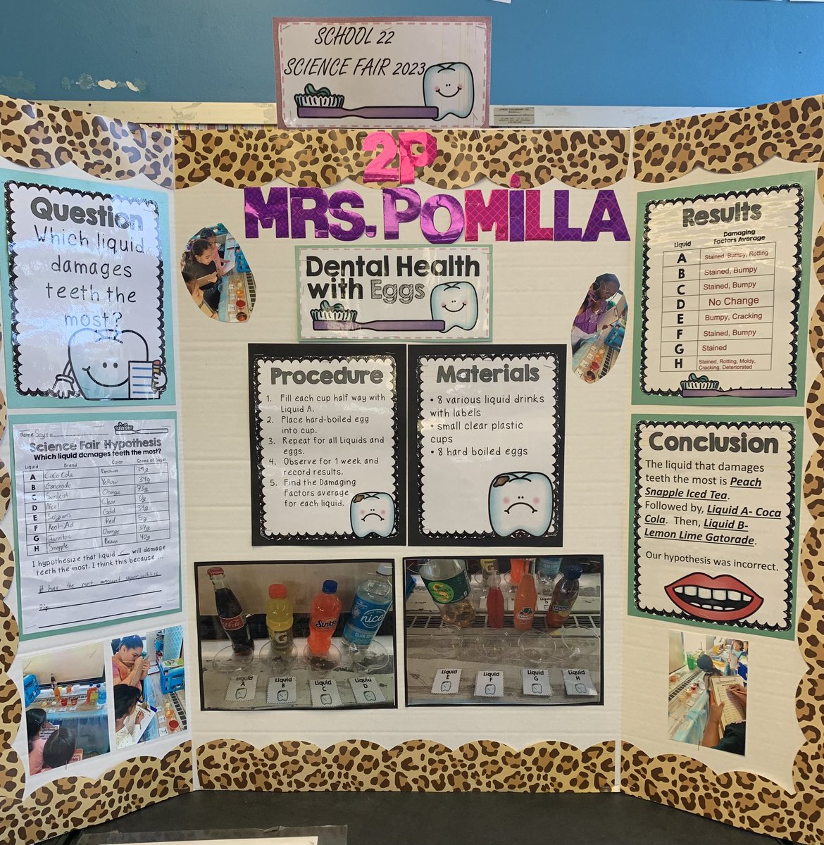 Elizabeth Pomilla tweet media