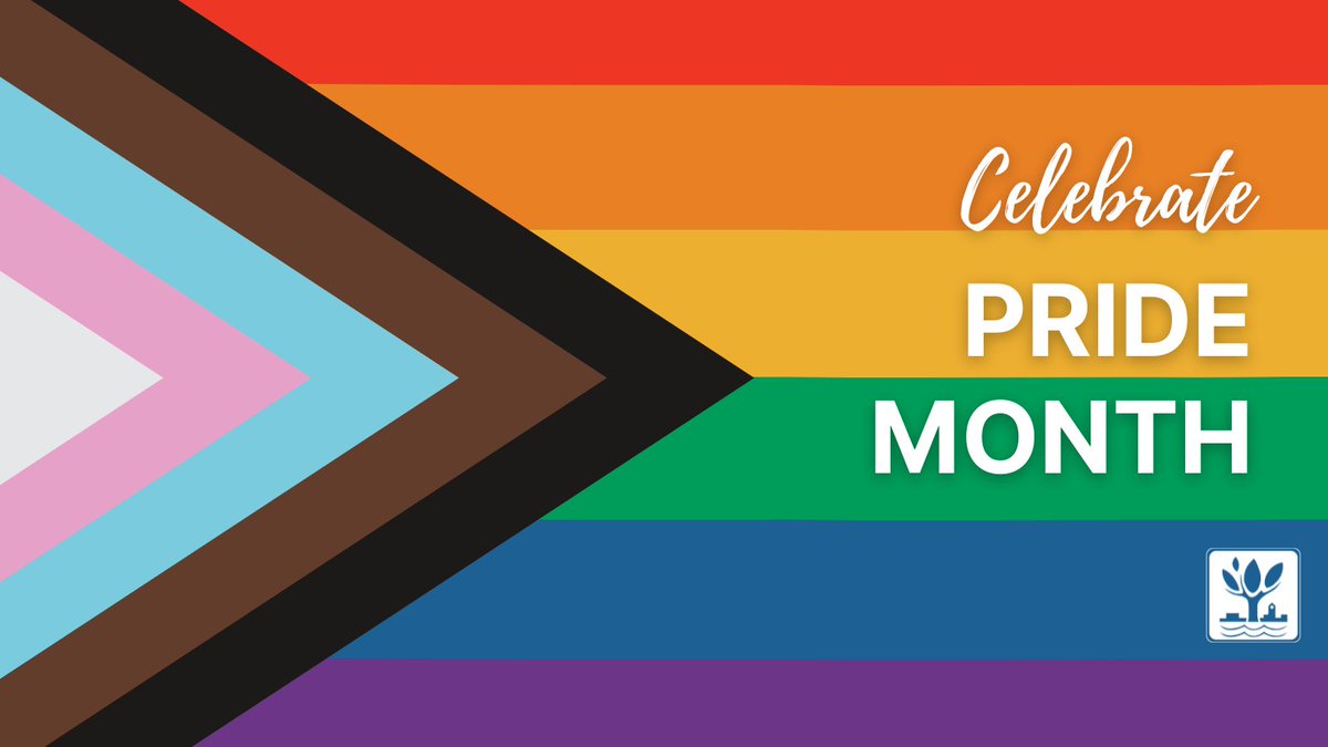 NapervilleIL's tweet photo. The City of Naperville is honoring federally recognized heritage and history months throughout the year – including LGBTQIA+ Pride Month – as part of our commitment to building an inclusive community that values diversity. https://t.co/qWbMZZoToC