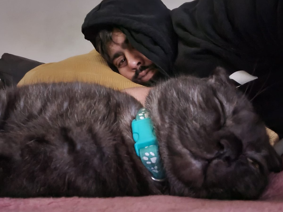 My housemate tries to make me jel. By sending pics of him and my cat sleeping together. It blady works everytime.