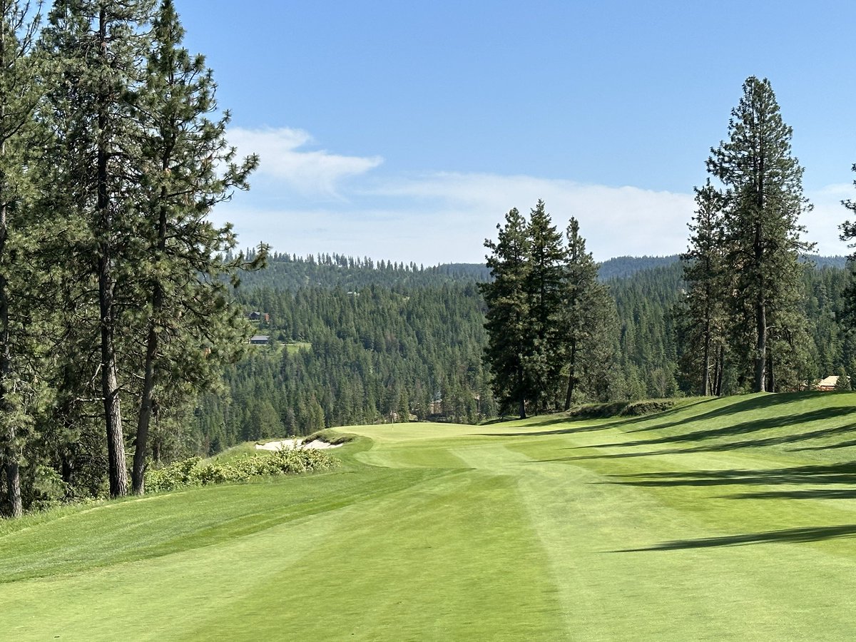 golf course enthusiast tweet media