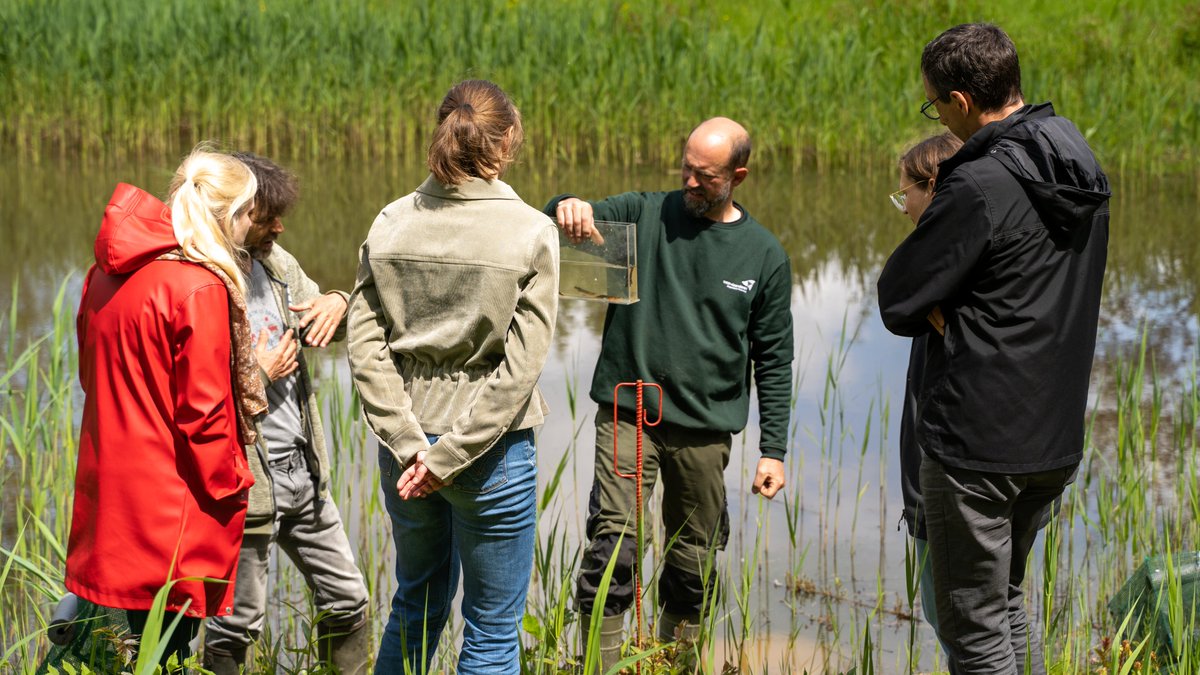 Na #MaaiMeiNiet doet onze campus ook mee aan de #BioBlitz. Samen met @ku_leuven brengen we zoveel mogelijk dier- en plantensoorten in kaart. 🦋🌱 Het #Ecolab -10 ha natuurzone- is een ideaal gebied om deze zoektocht te starten.

Meer over deze groene long: kulak.kuleuven.be/nl/nieuws_acti…