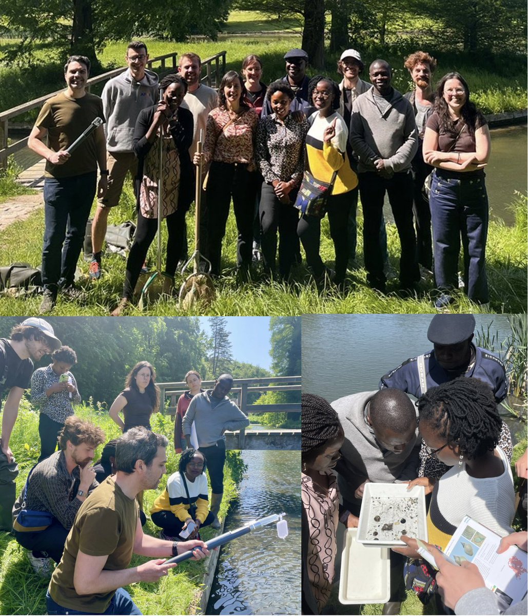 Hunting 🐌 in the beautiful pond near  the <a href="/africamuseumbe/">The AfricaMuseum</a>! Our ATRAP PhD students <a href="/jtumusiime90/">Julius Tumusiime</a> &amp; <a href="/KapourGermain/">Germain KAPOUR</a> are teaching Belgian MSc students how to sample 🐌 and an e-DNA 🧬 filtering demo by <a href="/hugofgante/">Hugo Gante 🐟🐡🦈🧬</a> 

&gt; 7 🐌 species found, even the one transmitting swimmer’s itch ⚠️