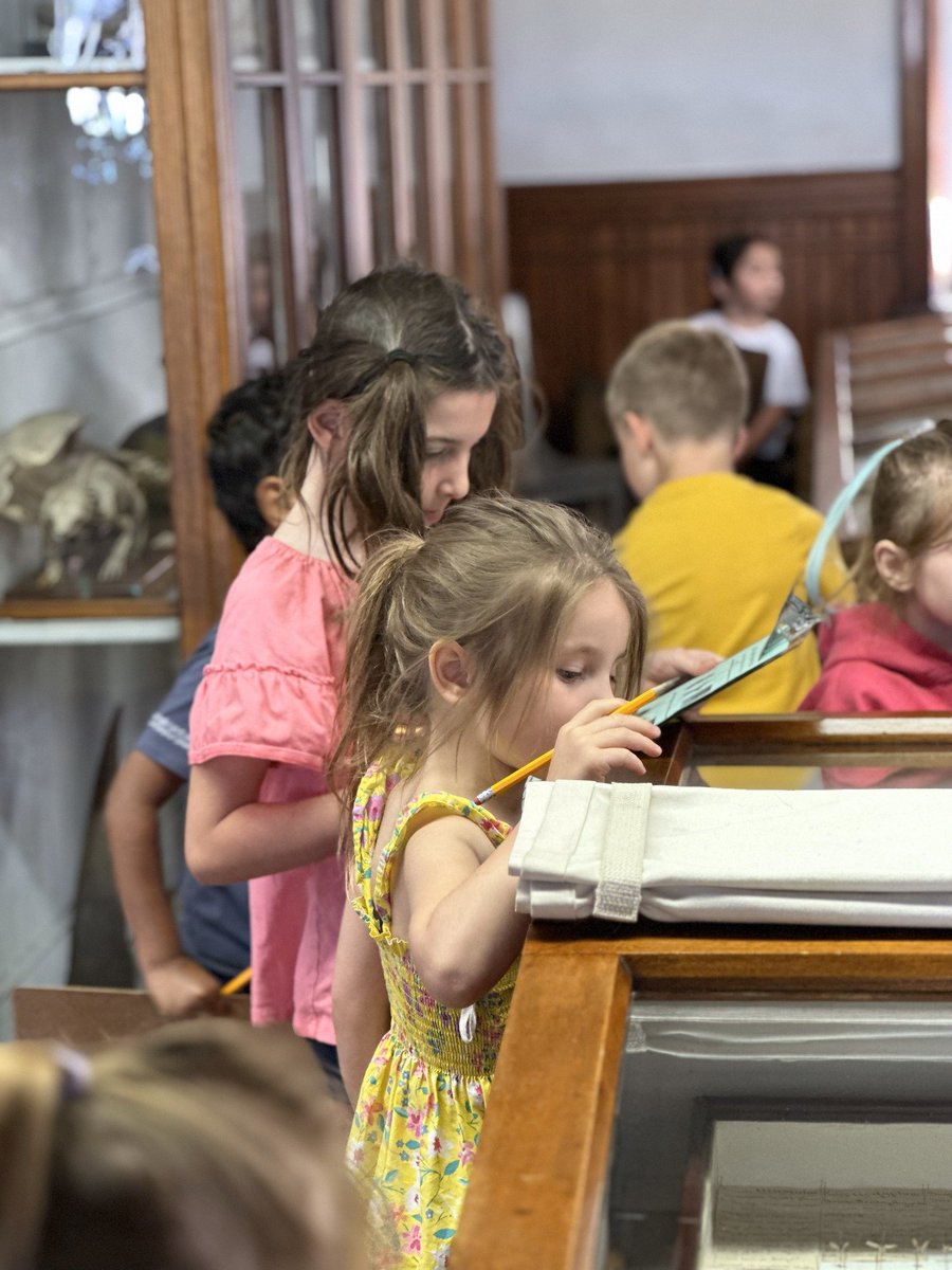 hfsFriends's tweet photo. As part of their study of dinosaurs, kindergarten visited the Wagner Free Institute of Science!
#fieldtrip #dinosaurs #fossils #joyouslearning #kindergarten https://t.co/Ez9k5eYXgf